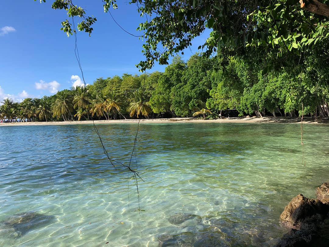 Mustique Island The Swinging Sixties   Gelliceaux Beach On Mustique Island November 2018 